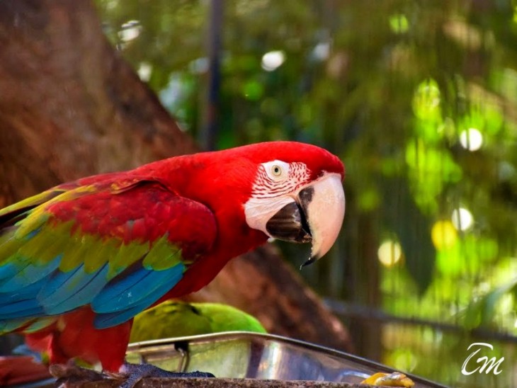 Dehiwala Zoological Garden