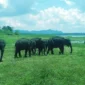 Maduru Oya National Wildlife Park