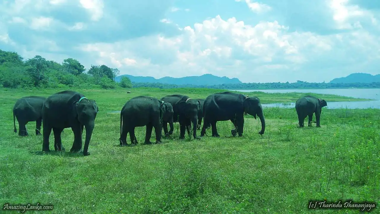 Maduru Oya National Wildlife Park